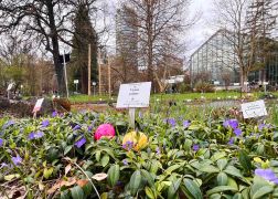 Ostereiersuche Im Botanischen Garten In Jena 00
